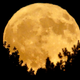 Illustration for article titled Last Call: Don’t be the dope who misses the Harvest Moon